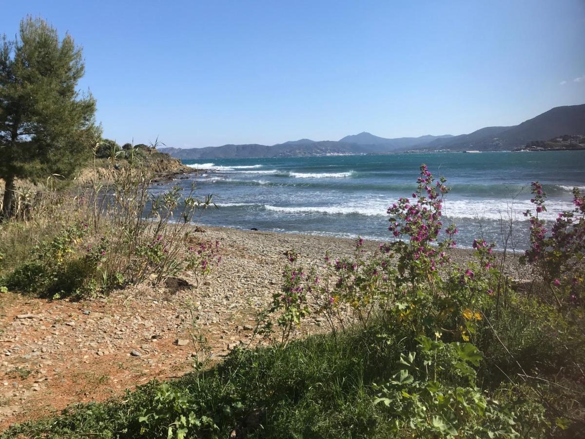 A Chic Four-Person Apartment By The Beach At Cap Ras Llança Exteriör bild